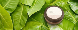 CASTANHA BODY SCRUB