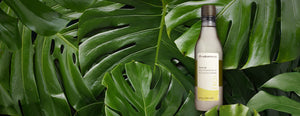 MARACUJÁ TRIPLE PHASE SHOWER OIL